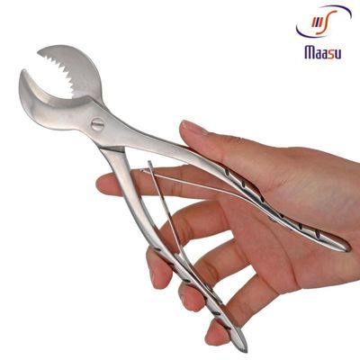 Outil périodontique dentaire des pinces 18CM de plâtre d'acier inoxydable